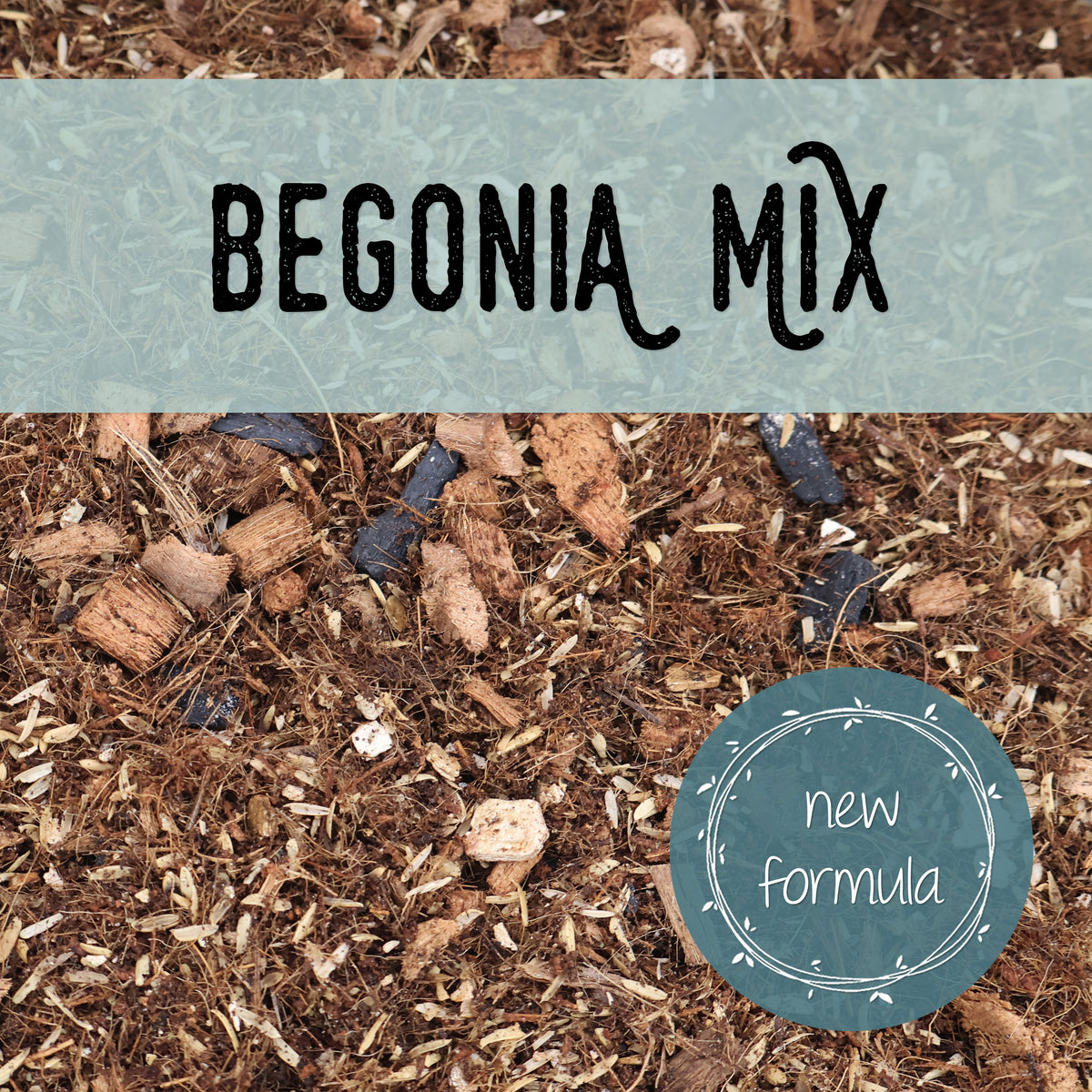 Mezcla de begonias