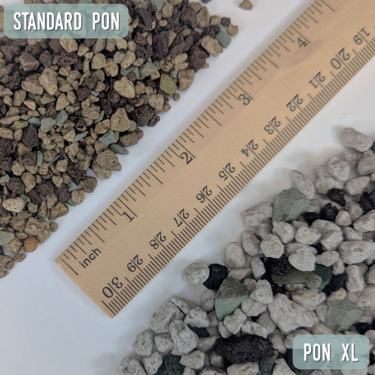 Pon XL