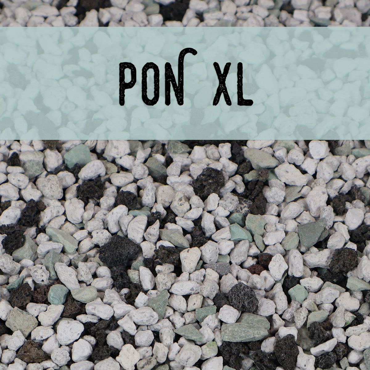 Pon XL