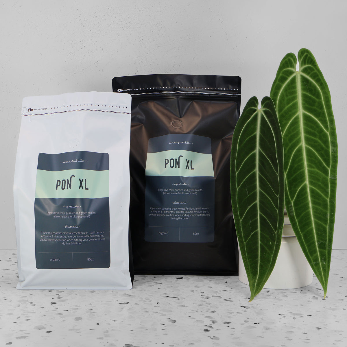 Pon XL