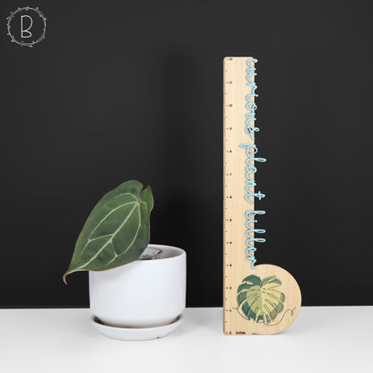 Anturio Barry Blue Velvet NoID x (Carla x Forgetii)