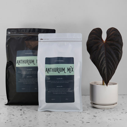 Mélange d'anthuriums