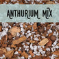 Anthurium Mix