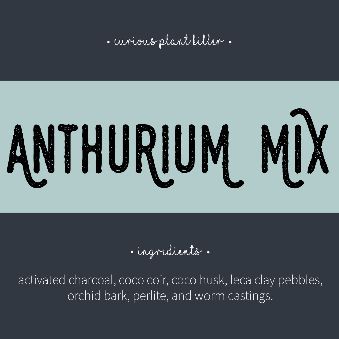 Anthurium Mix