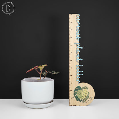 Begonia Izumo no Kiraboshi Abigarrada