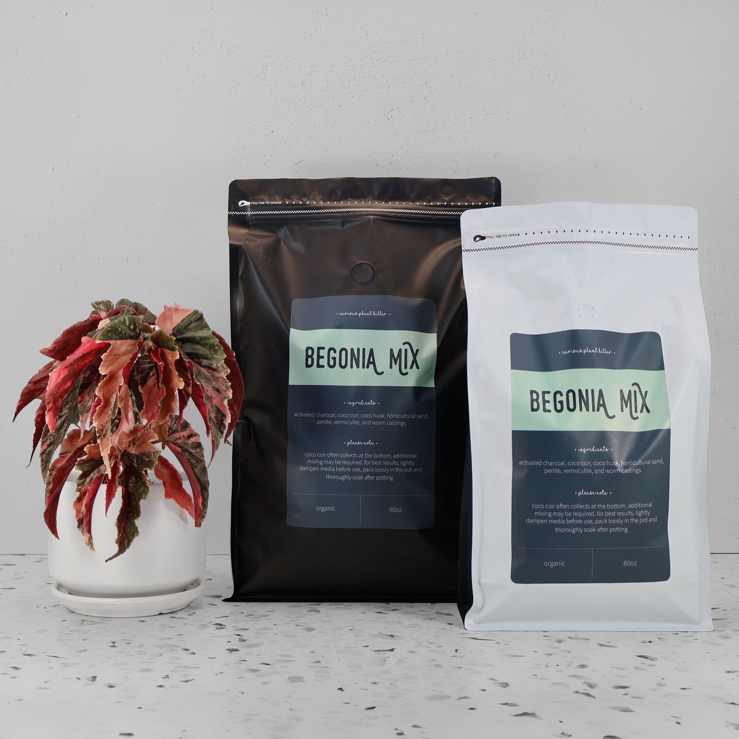 Mélange de bégonias