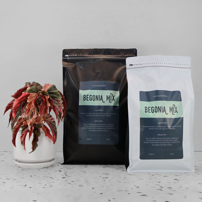 Mélange de bégonias
