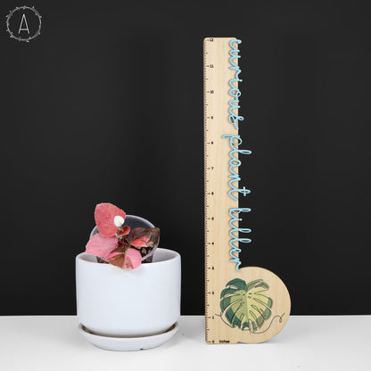 Begonia Semperflorens Sp. Rosa