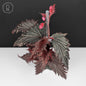 Begonia Miri Sp. (Papua New Guinea)