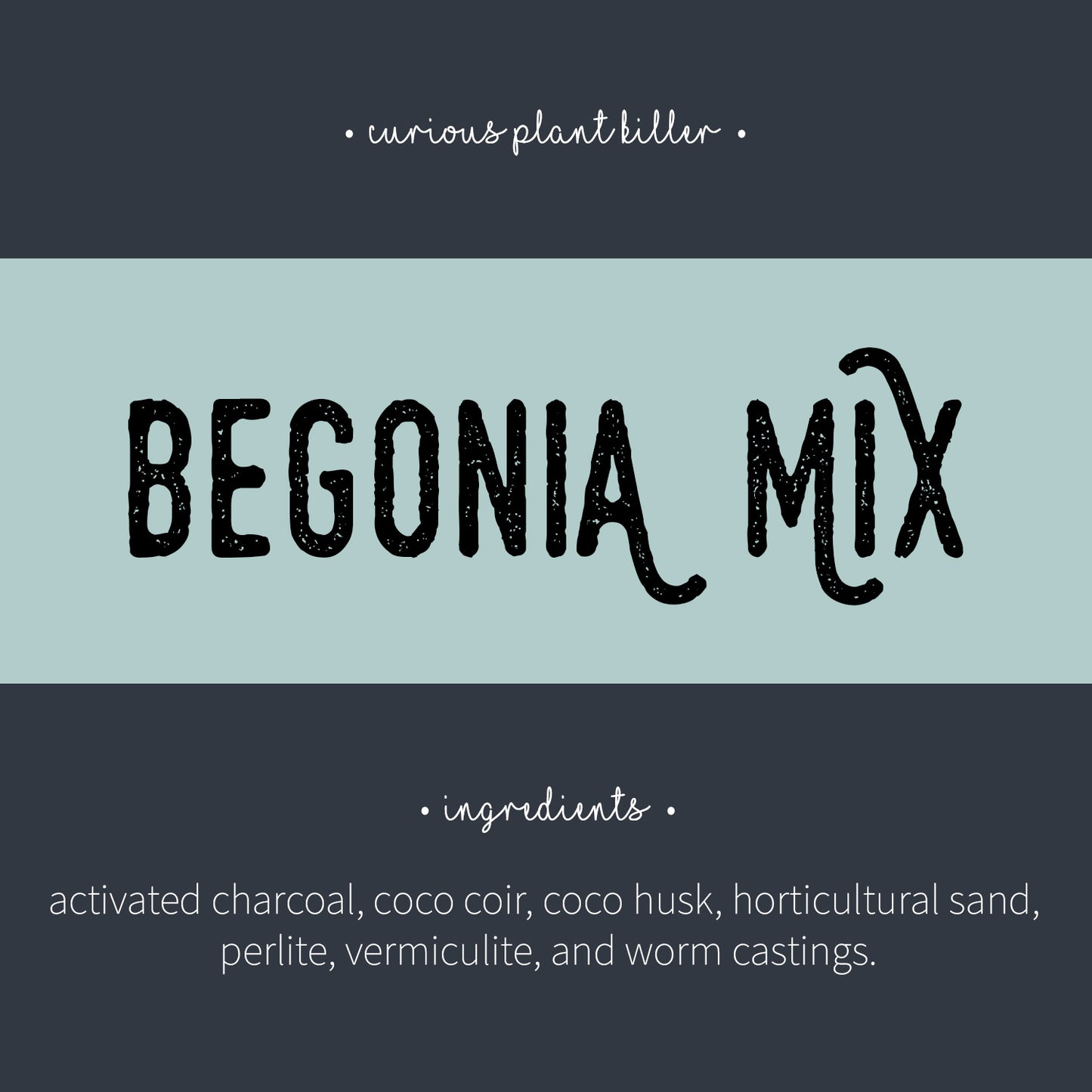 Begonia Mix