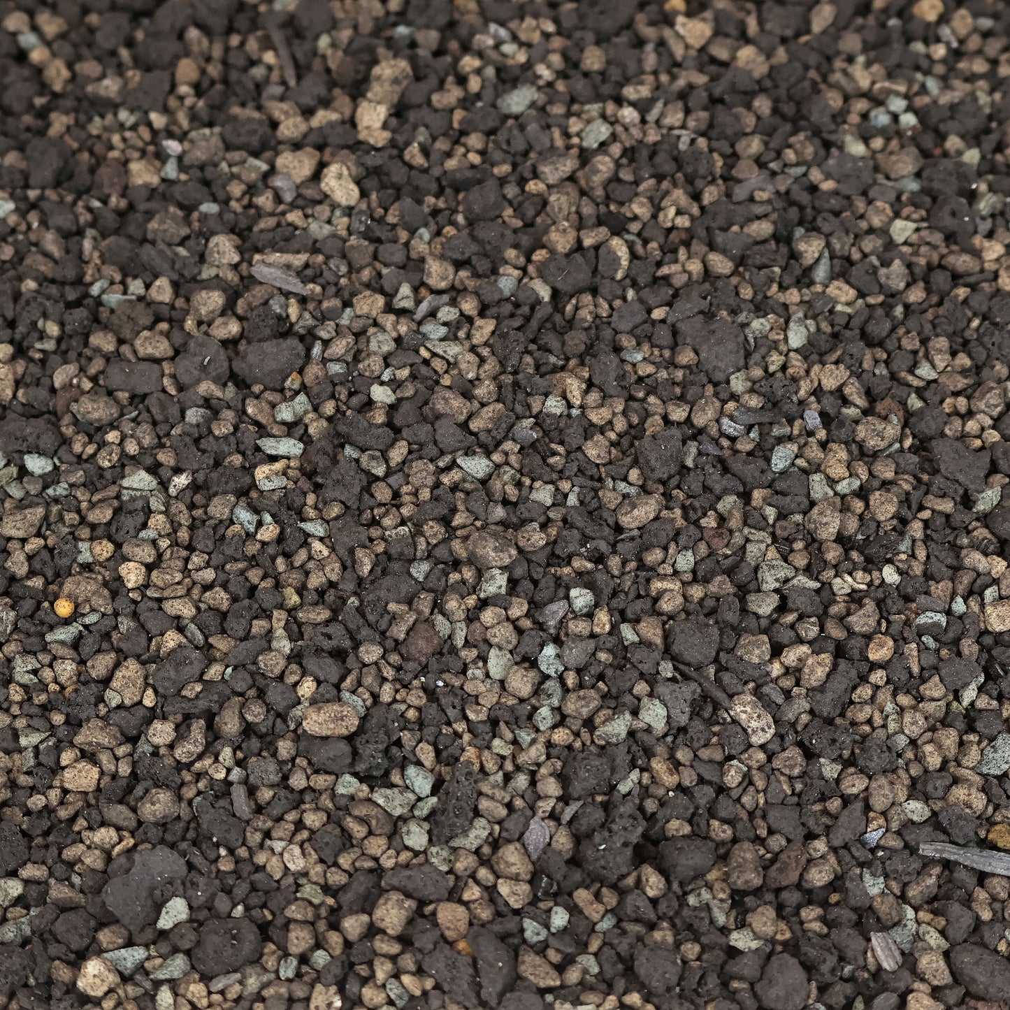 Blackstone Pon