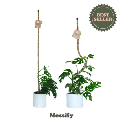 Mossify's Bendable Coir Pole™