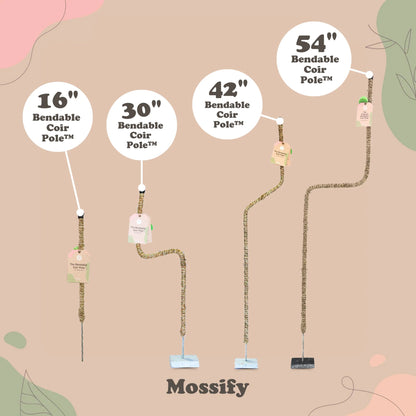 Mossify's Bendable Coir Pole™