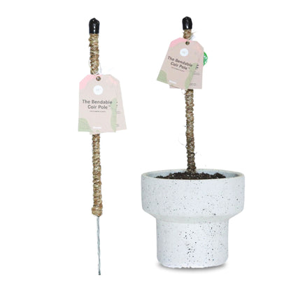 Mossify's Bendable Coir Pole™