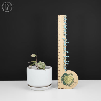 Dioscorea "Crepe Color" sp.