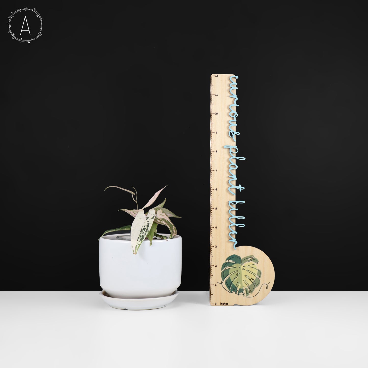 Dioscorea sp. Gamma Ray