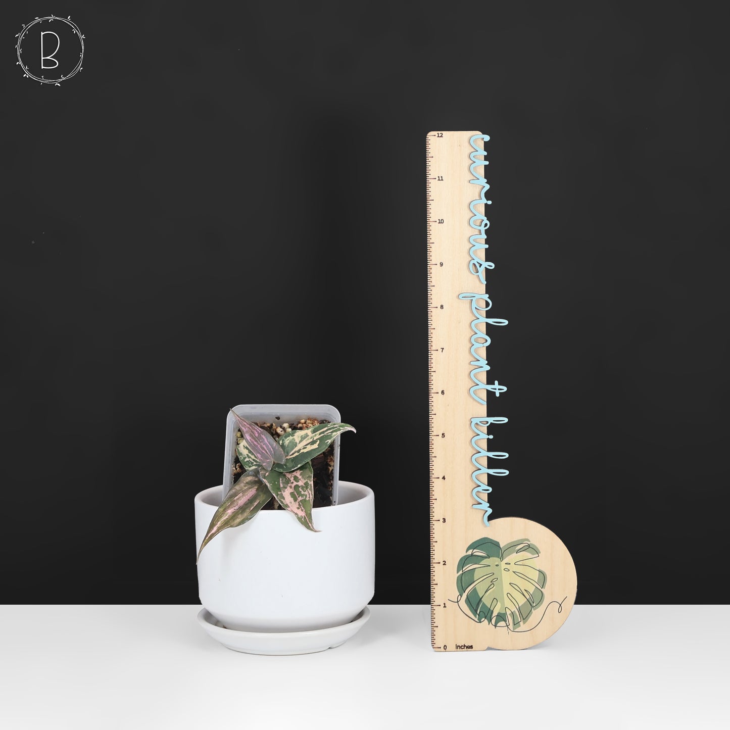 Dioscorea sp. Gamma Ray