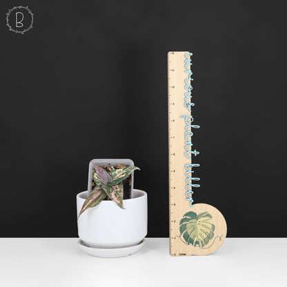 Dioscorea sp. Gamma Ray