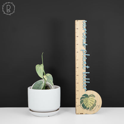 Epipremnum Pinnatum Cebú Azul Abigarrado