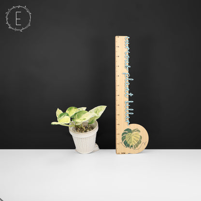 Epipremnum Aureum Japanese Global