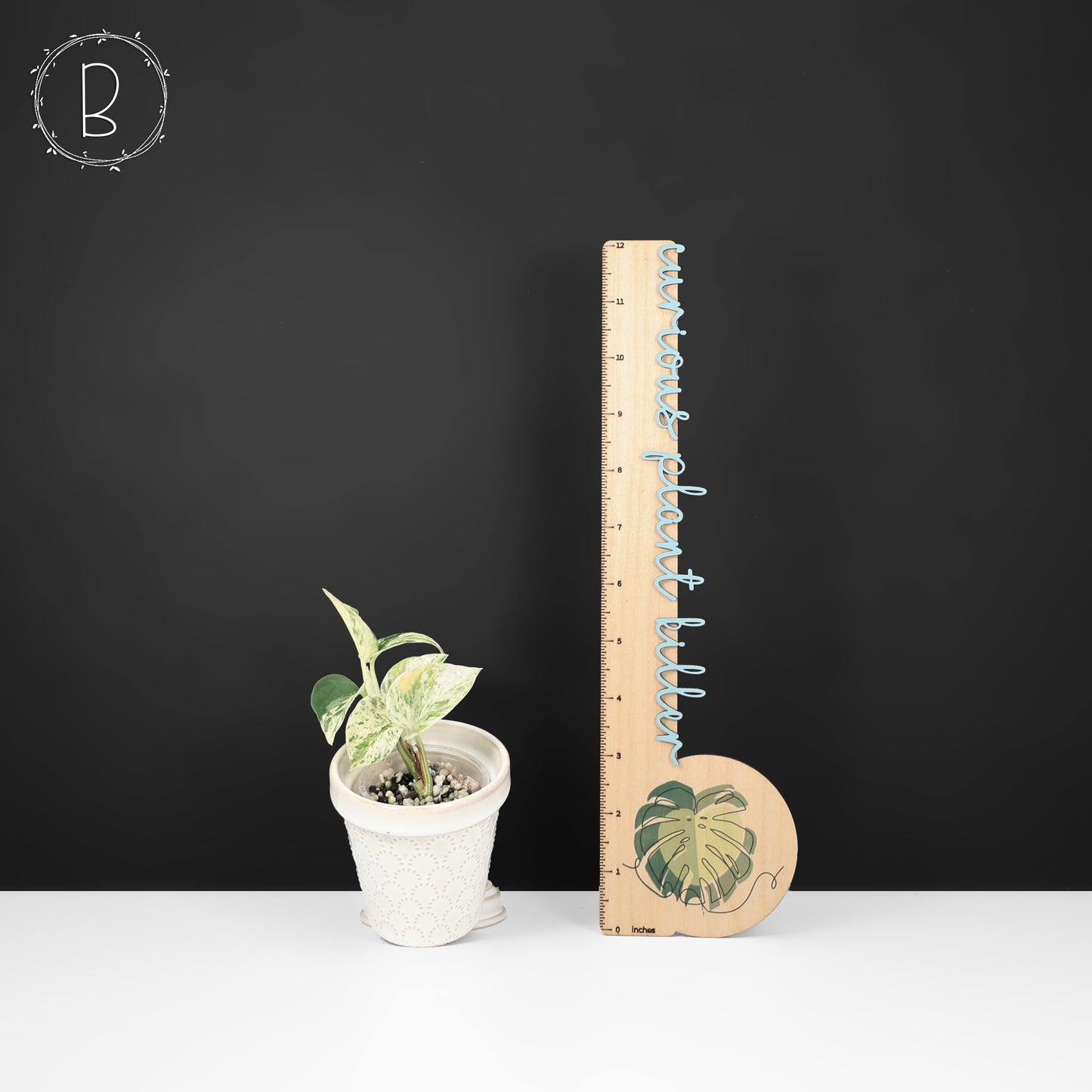 Epipremnum Aureum Teruno Fanfare