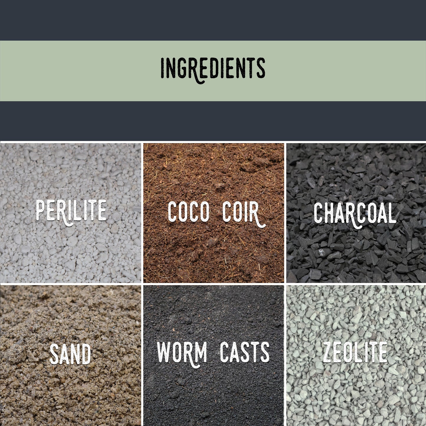 Mélange de fougères