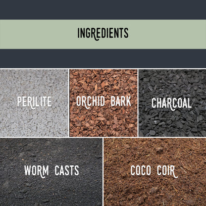 Mezcla de ficus e higos