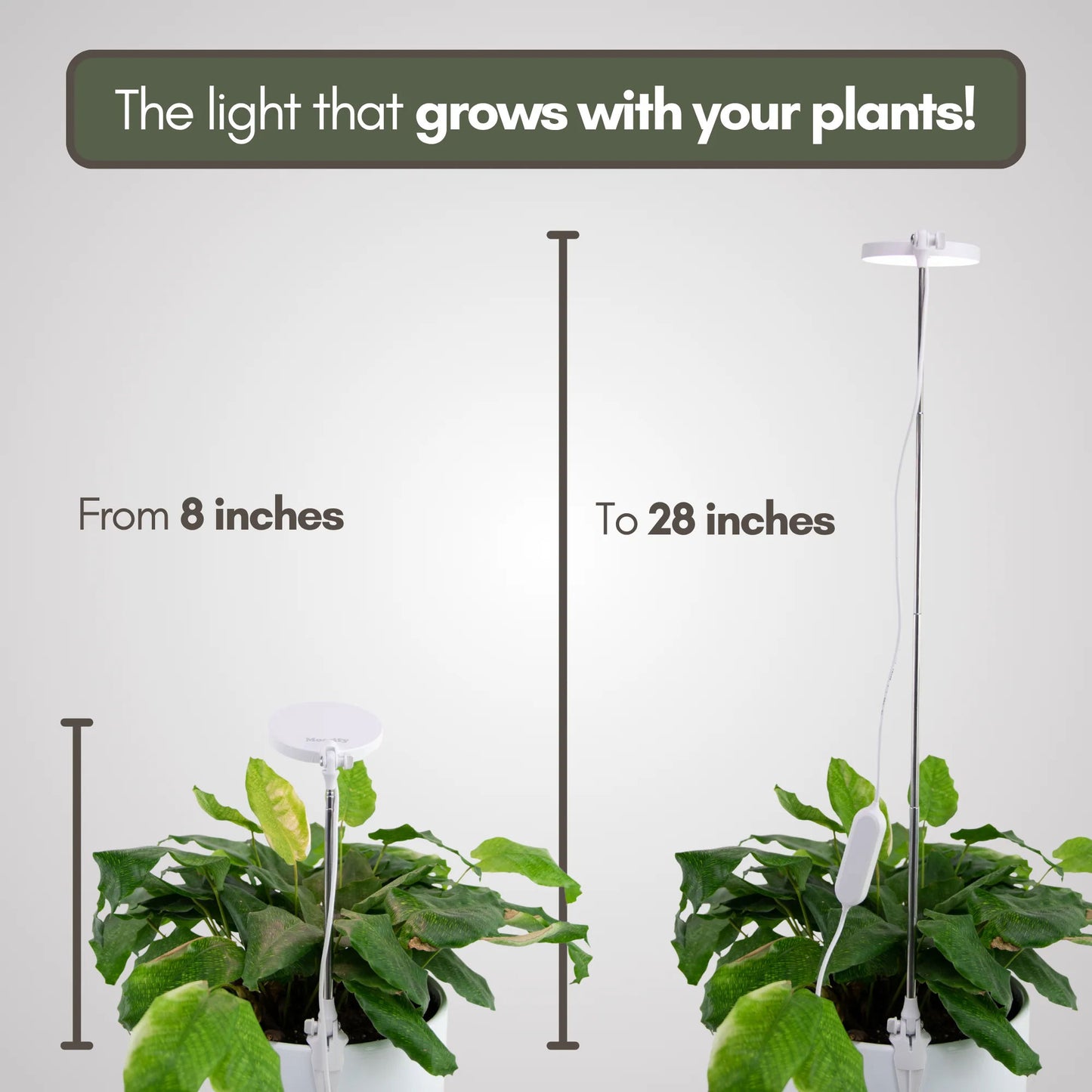 Adjustable LED Plant Light