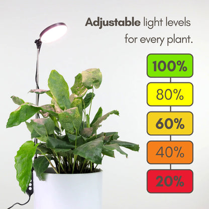 Adjustable LED Plant Light