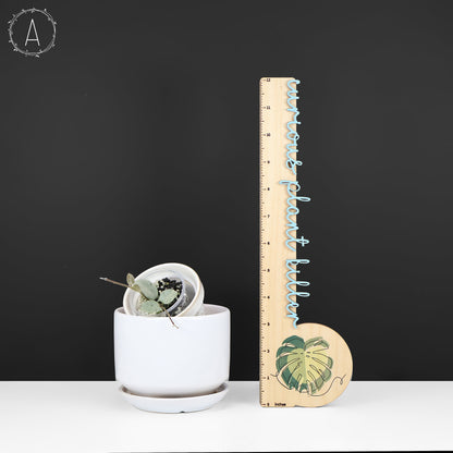 Hoya Mathilde "Hada Gris"