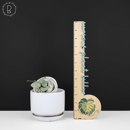 Hoya Mathilde "Hada Gris"