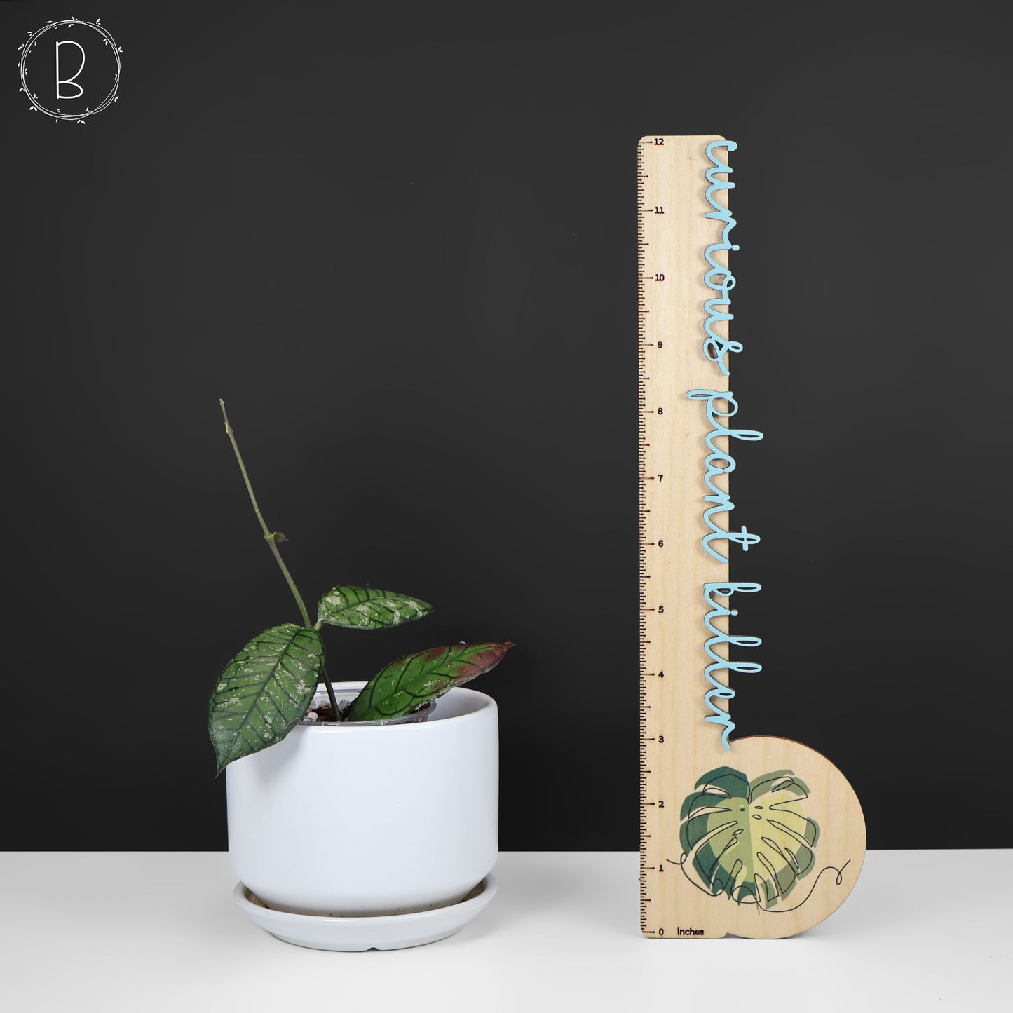 Fantasma del cañón Hoya Gading