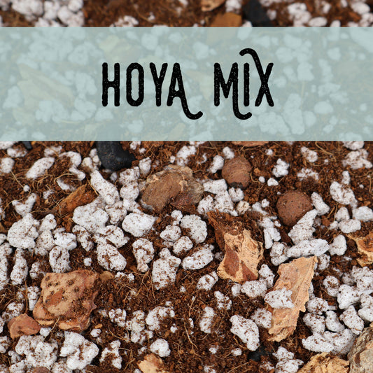 Mezcla de Hoya
