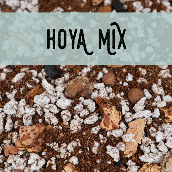Mezcla de Hoya