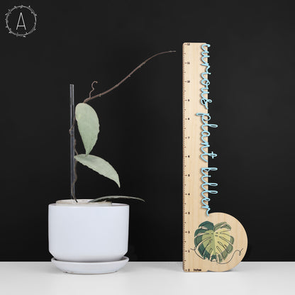 Hoya Caudata Argentea Plata