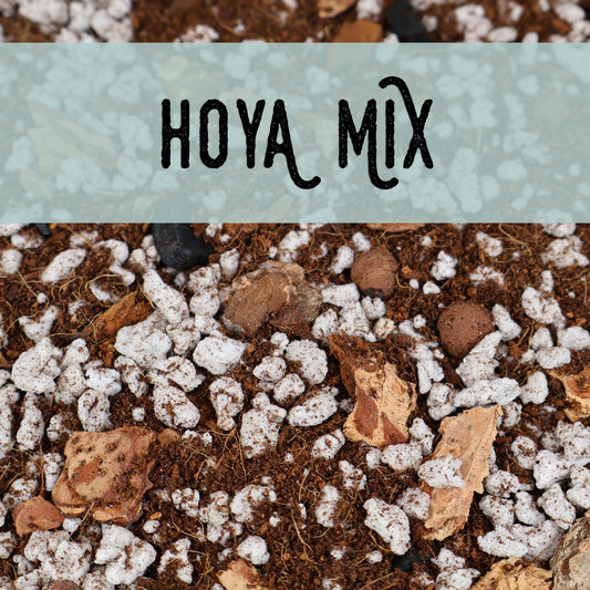 Hoya Mix