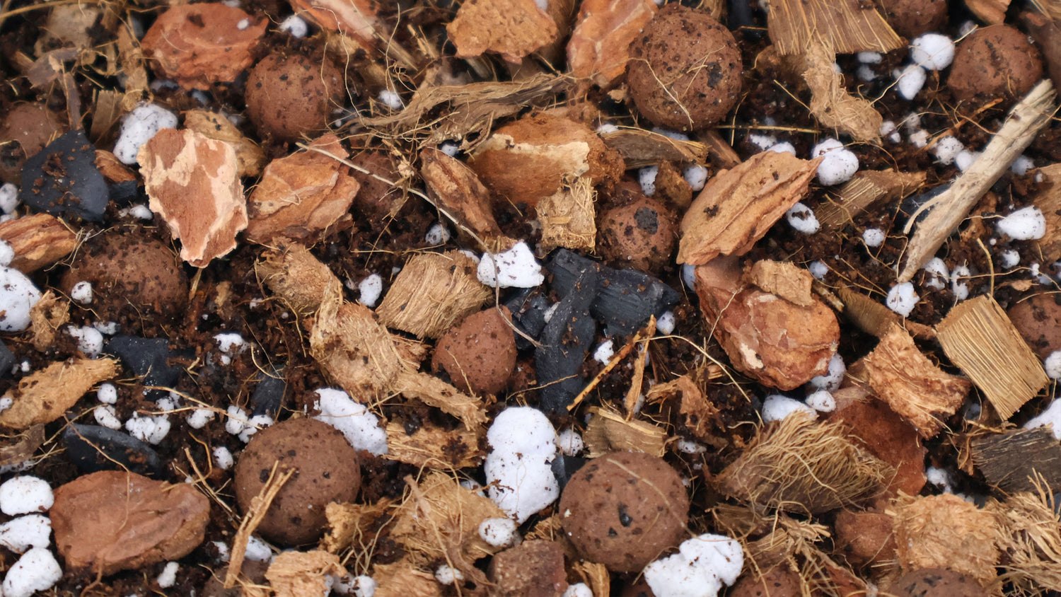 Close-up of a potting mix containing coco coir, LECA, charcoal and perlite.