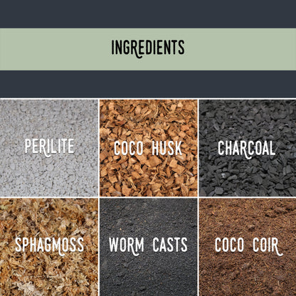 Mélange de Monstera