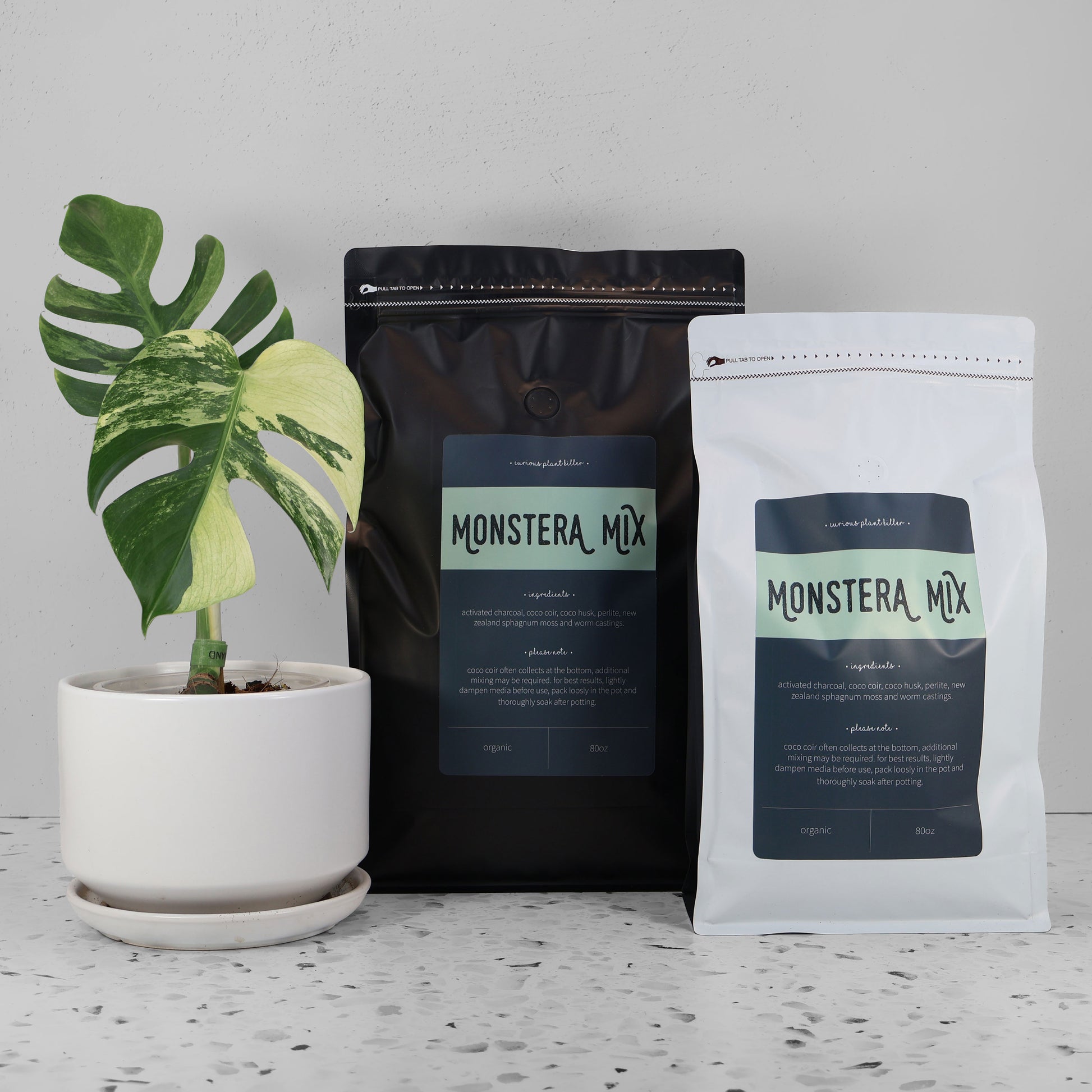 best potting mix for monstera Monstera Mix – Curious Plant Killer