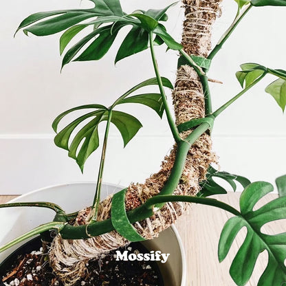 Mossify's Bendable Moss Pole™