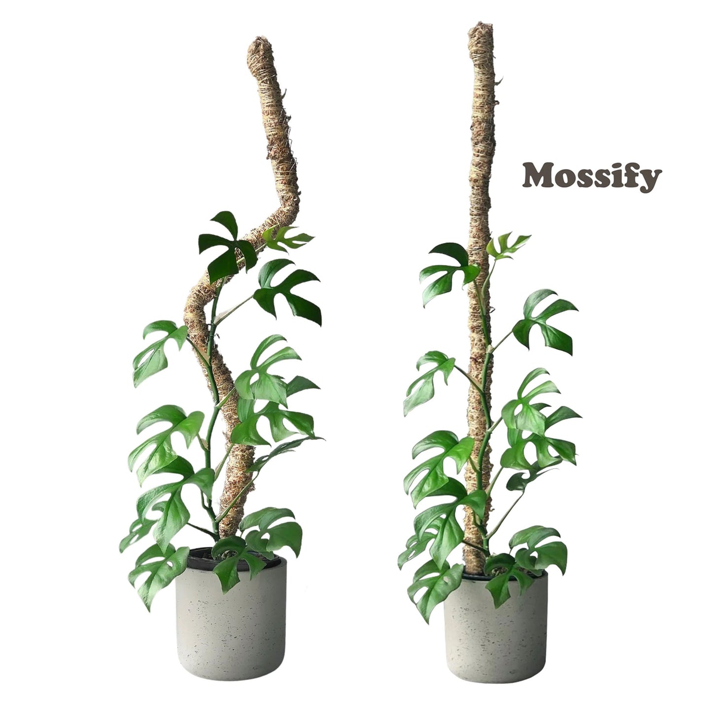 Mossify's Bendable Moss Pole™