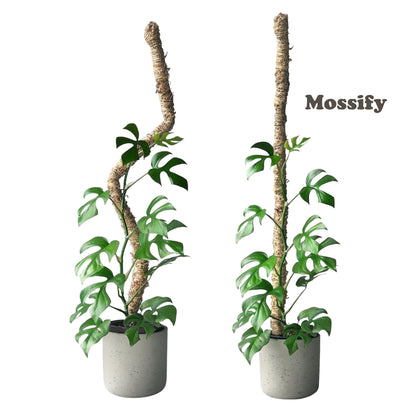 Mossify's Bendable Moss Pole™