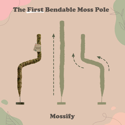 Mossify's Bendable Moss Pole™