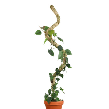 Mossify's Bendable Moss Pole™