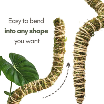 Mossify's Thin Bendable Moss Pole™ (3 Pack)