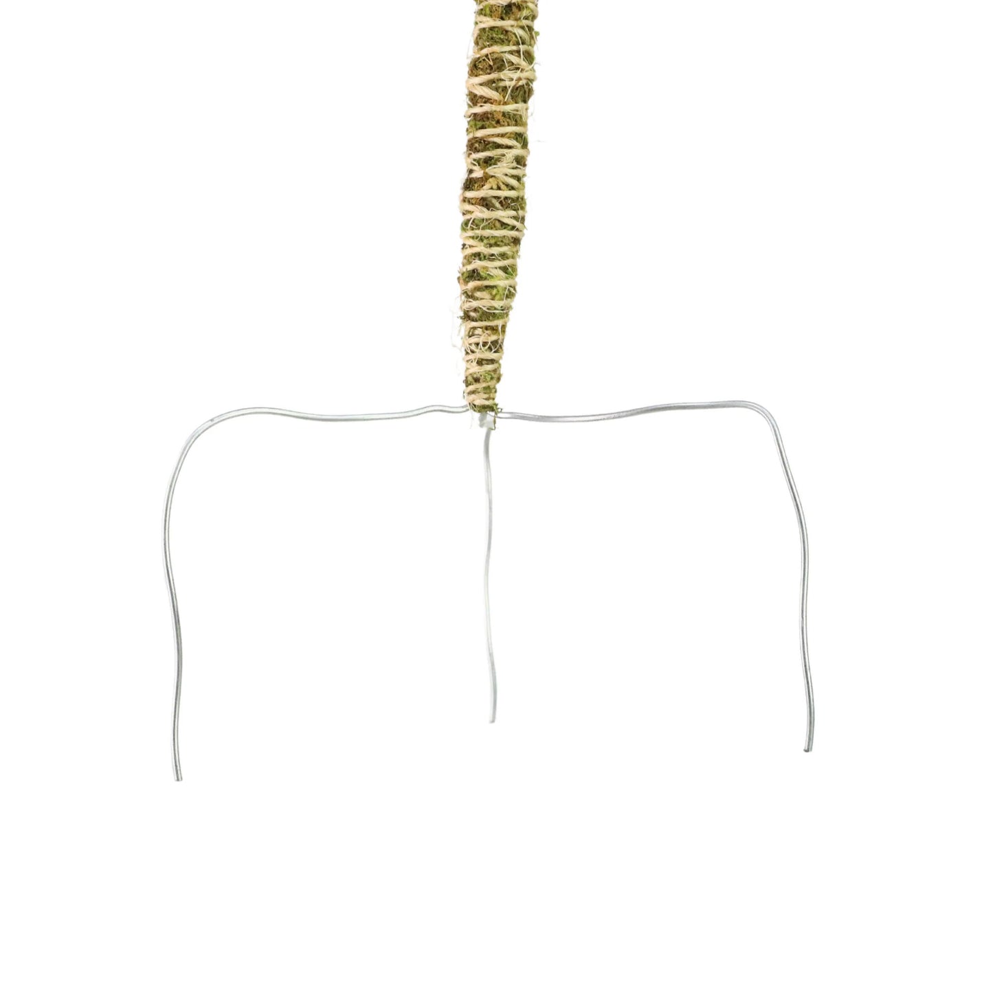 Mossify's Thin Bendable Moss Pole™ (3 Pack)