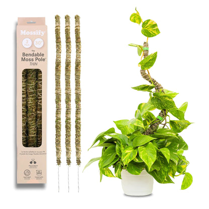 Mossify's Thin Bendable Moss Pole™ (3 Pack)