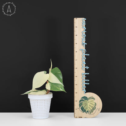 Filodendro Hederaceum Albo