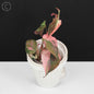 Philodendron Micans Albo; Pink Micans