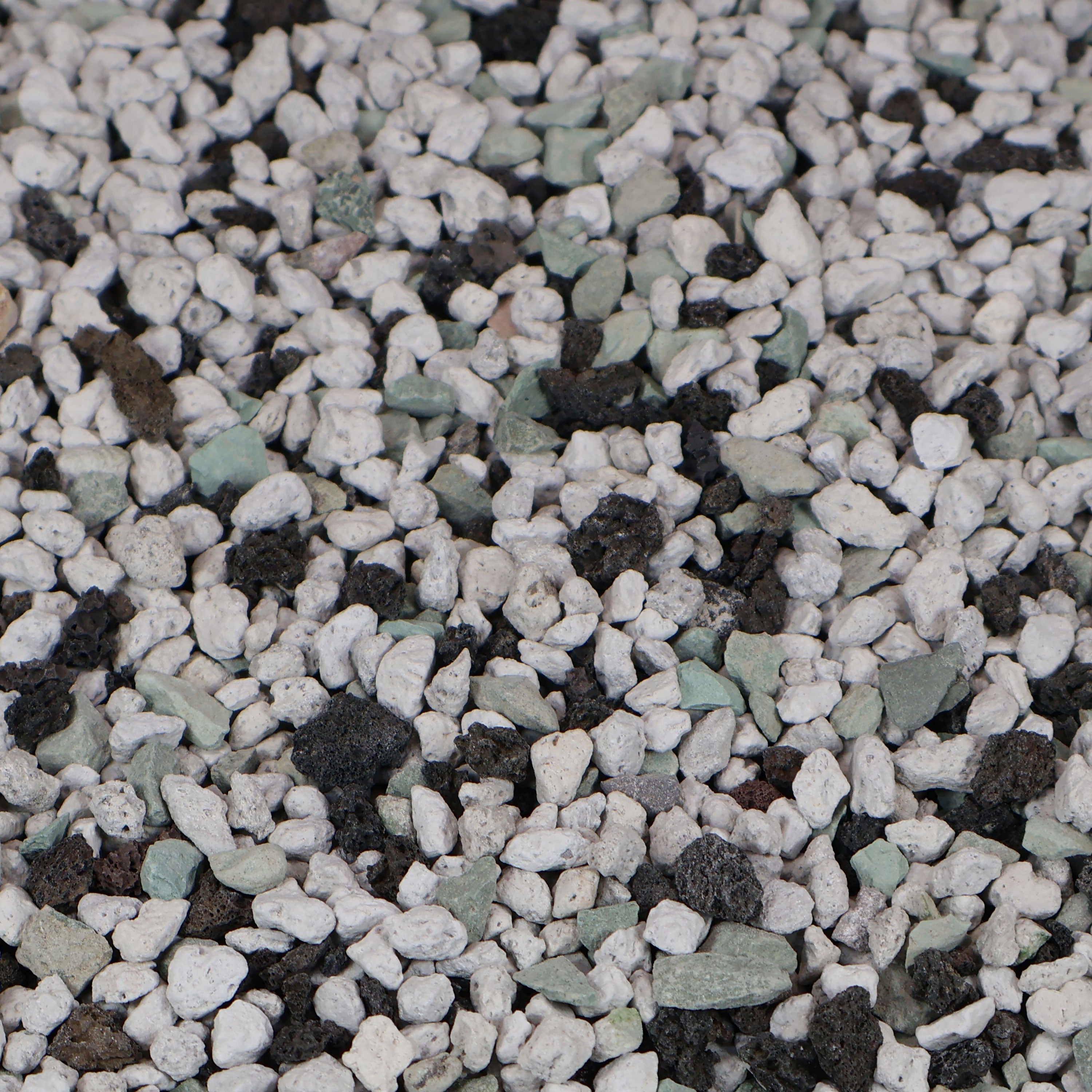 pon pon Pon XL – Curious Plant Killer